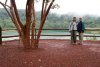 In front of the lagoon