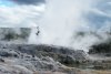 Hot geyser at Te Whakarewarewa