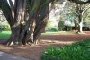 Botanic gardens
