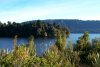 Unknown lake somewhere on the west coast of the South Island