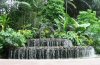Fountain at entrance to the orchid garden