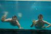 Andy and Matt swimming and waving